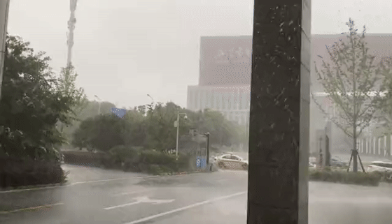 动图为:6月5日17时武汉市民之家门前的倾盆大雨.(来源:网络)