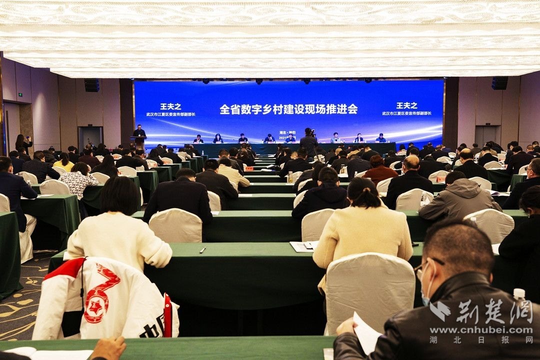 微信图片_20211110233510.jpg.jpg