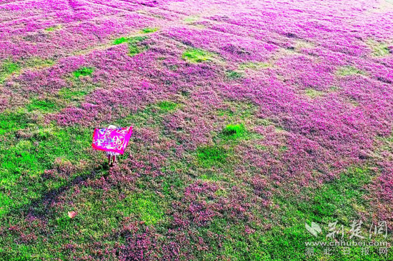 105a1a3f888cc358f0d09fa3253e233.jpg