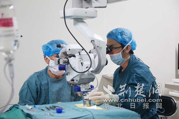 图12眼底手术_副本.jpg