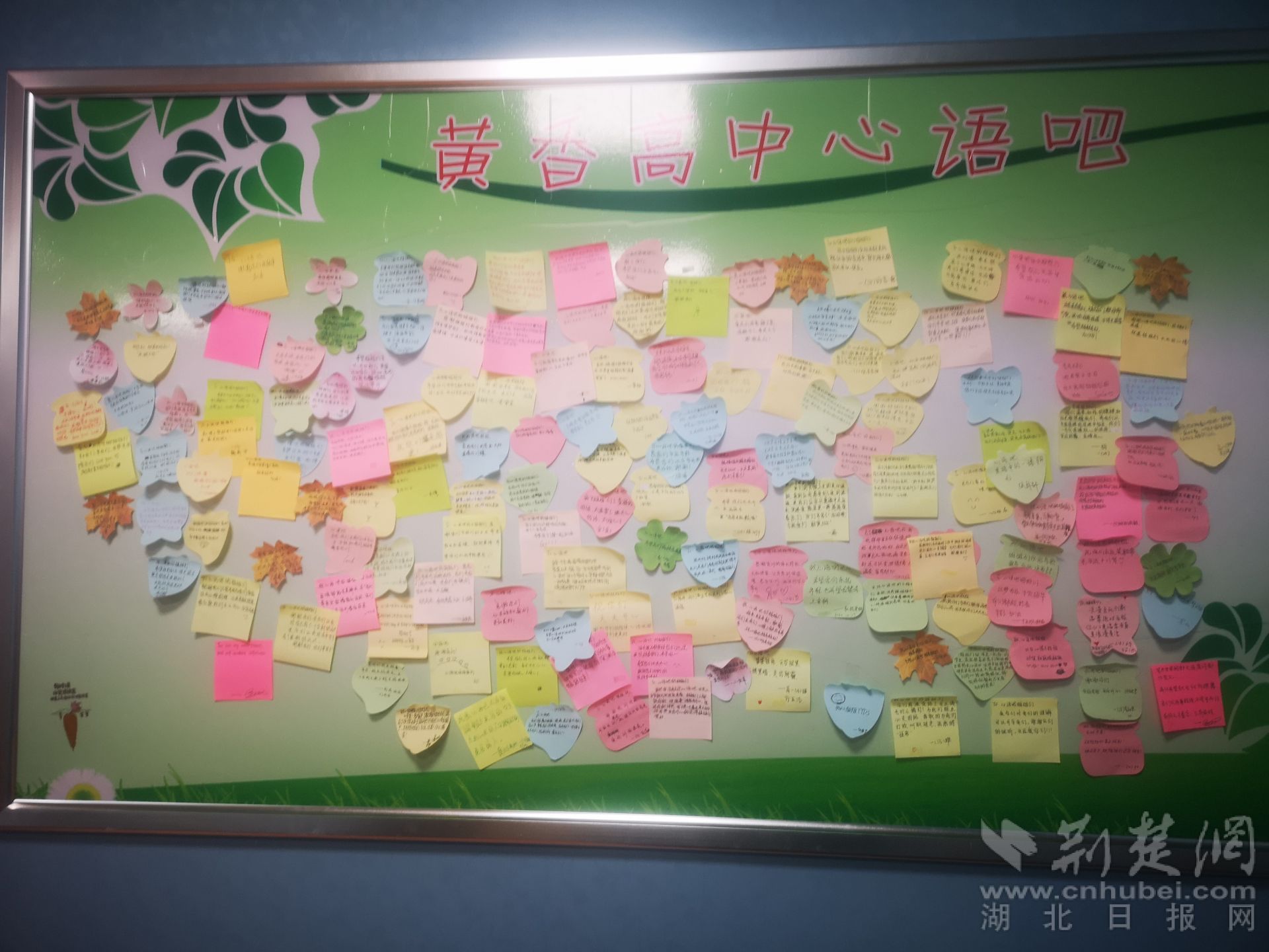 微信图片_20220326115454.jpg.jpg