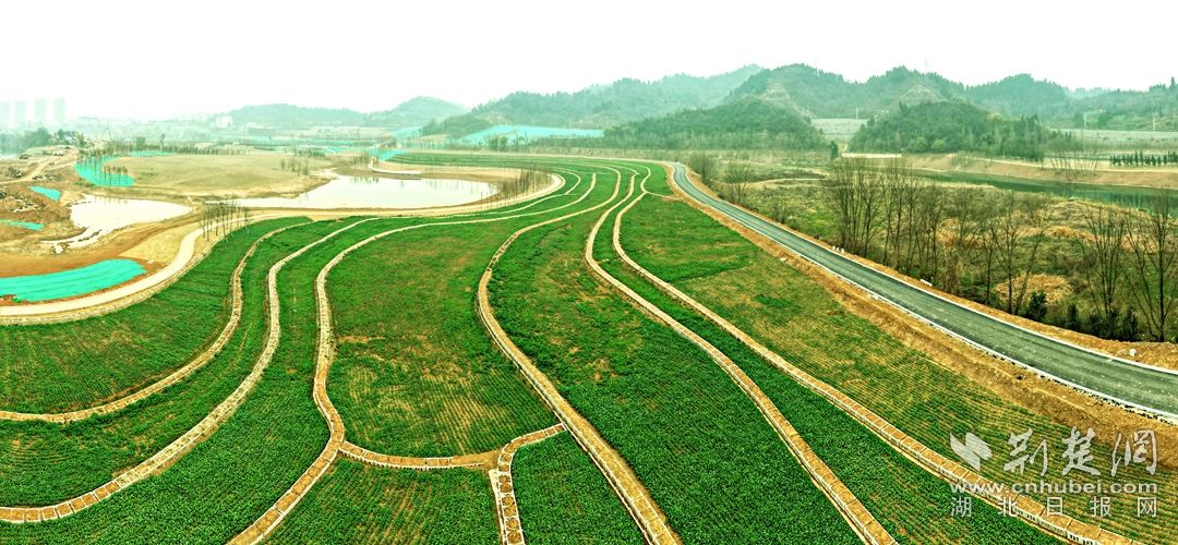 卷桥河湿地湖北日报全媒记者 刘曙松 摄_副本.jpg.jpg