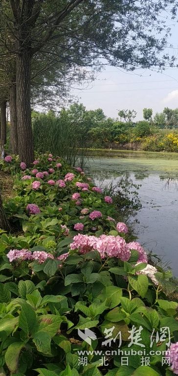 图片 5.jpg.jpg