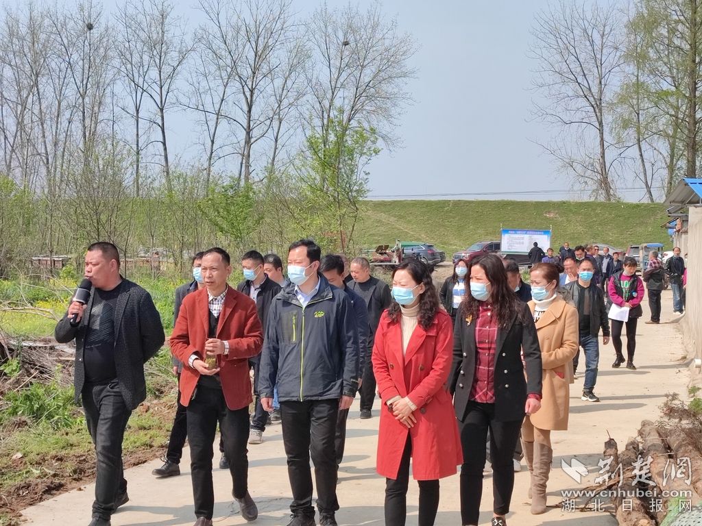 图片 2.jpg.jpg