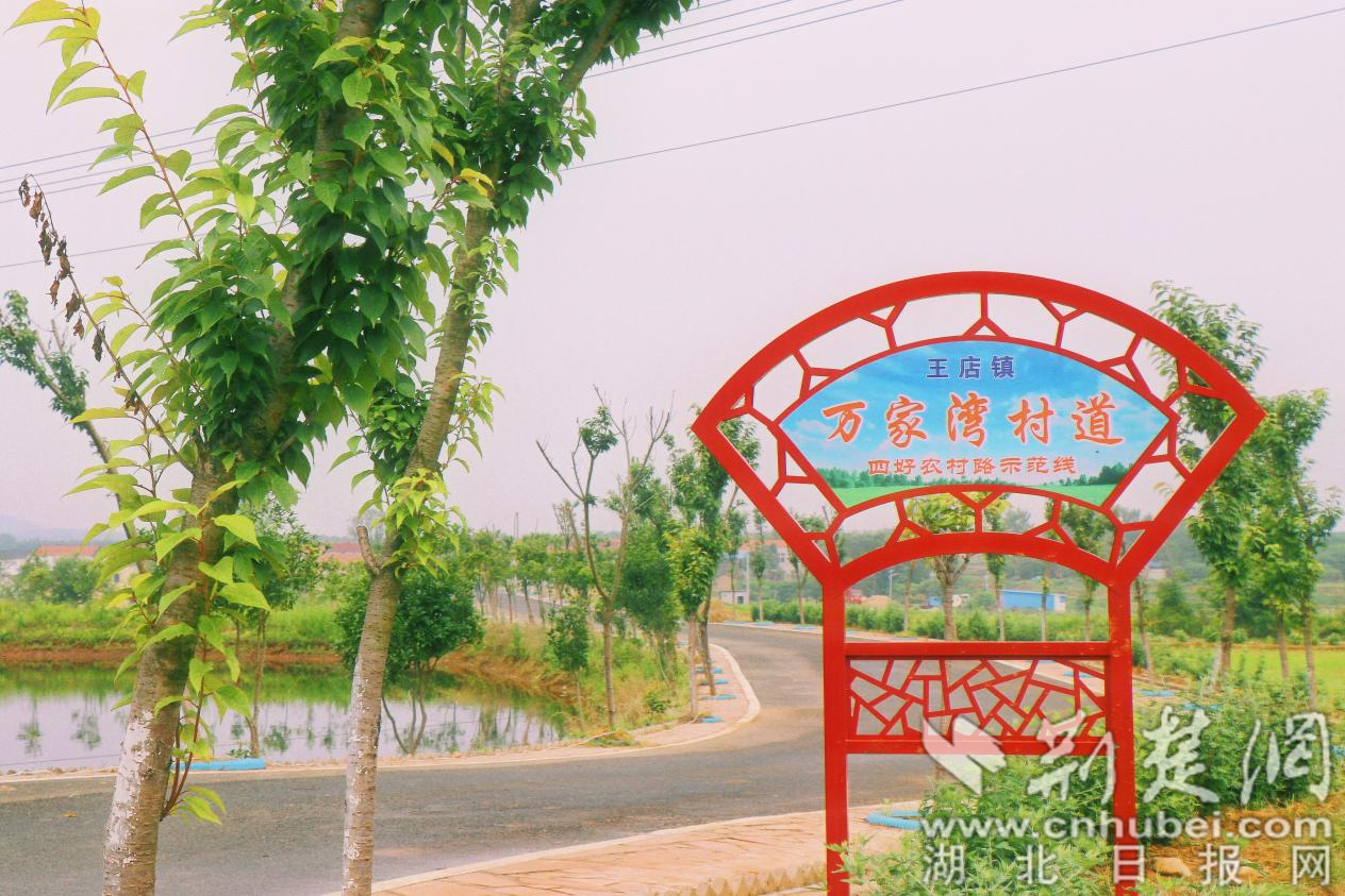 图片5_副本.png.png