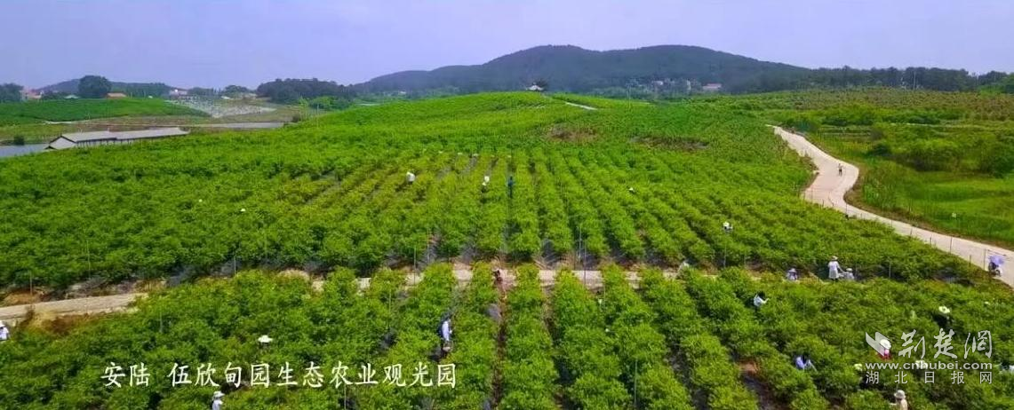 微信图片_20220608184157(1).png.png