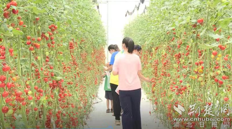 微信图片_20220714171841.jpg