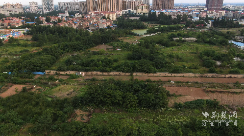 微信图片_20220705150043.png.png