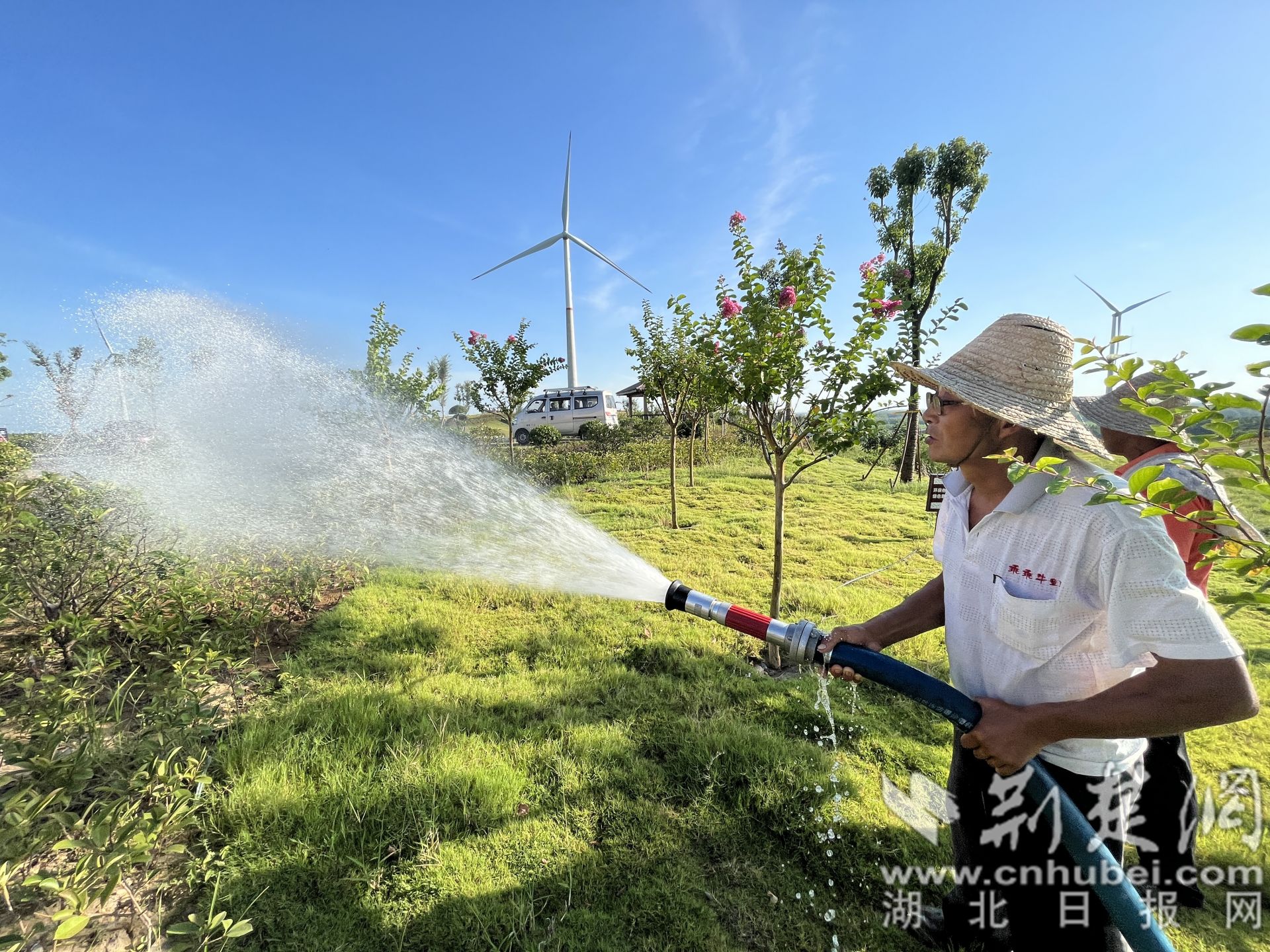 应城市公路局工作人员对道路沿线绿化树木浇水冯璇摄.jpg.jpg