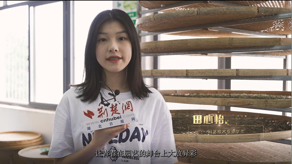 生态环境7.png.png
