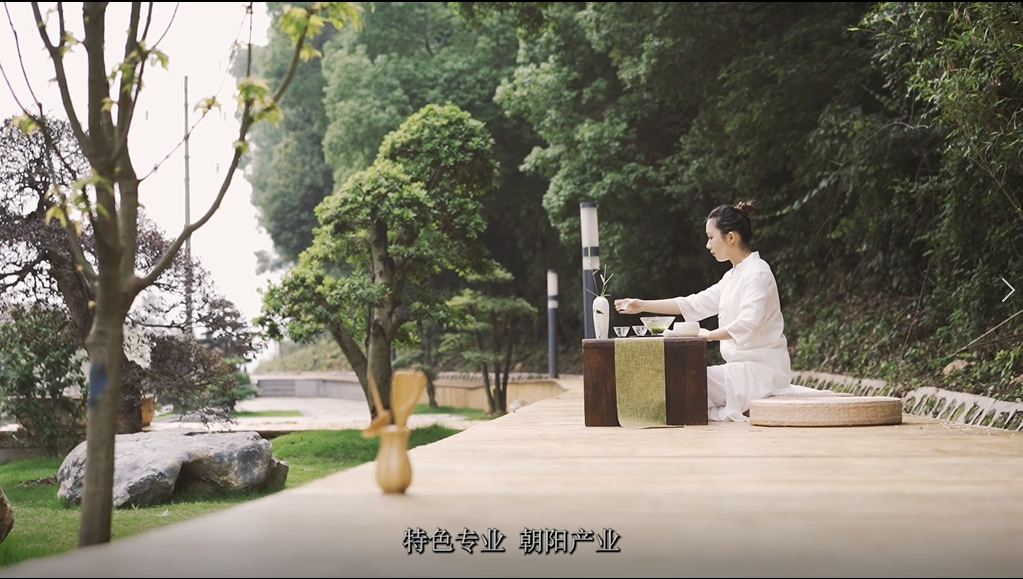 旅游管理3.png.png