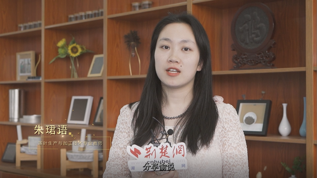 生态环境6.png.png