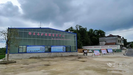 汪岗镇骏旗农业公司发展“稻-虾-鳢”综合种养.JPG