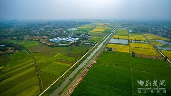 汪岗镇陈庙河流域高标准农田示范区.jpg