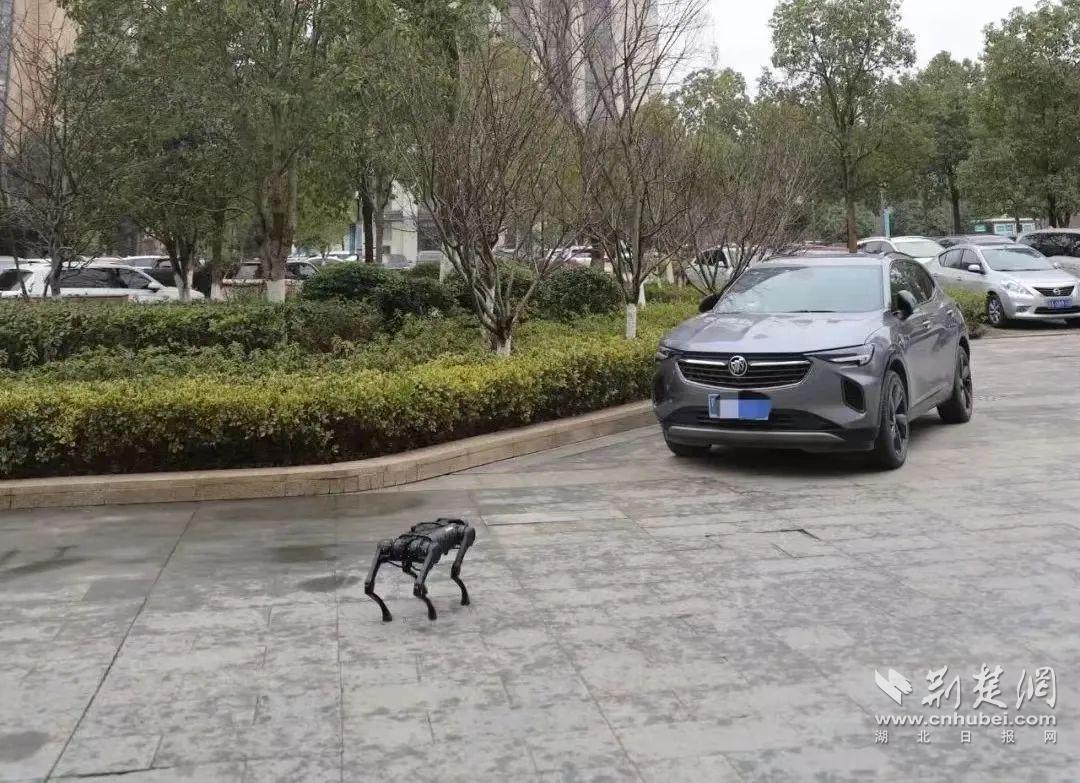 微信图片_20221025144002.jpg