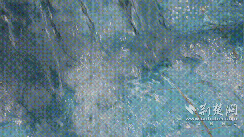 6344e47599a58_fdb5d5964ce7197e277f25c330cda5fb.gif