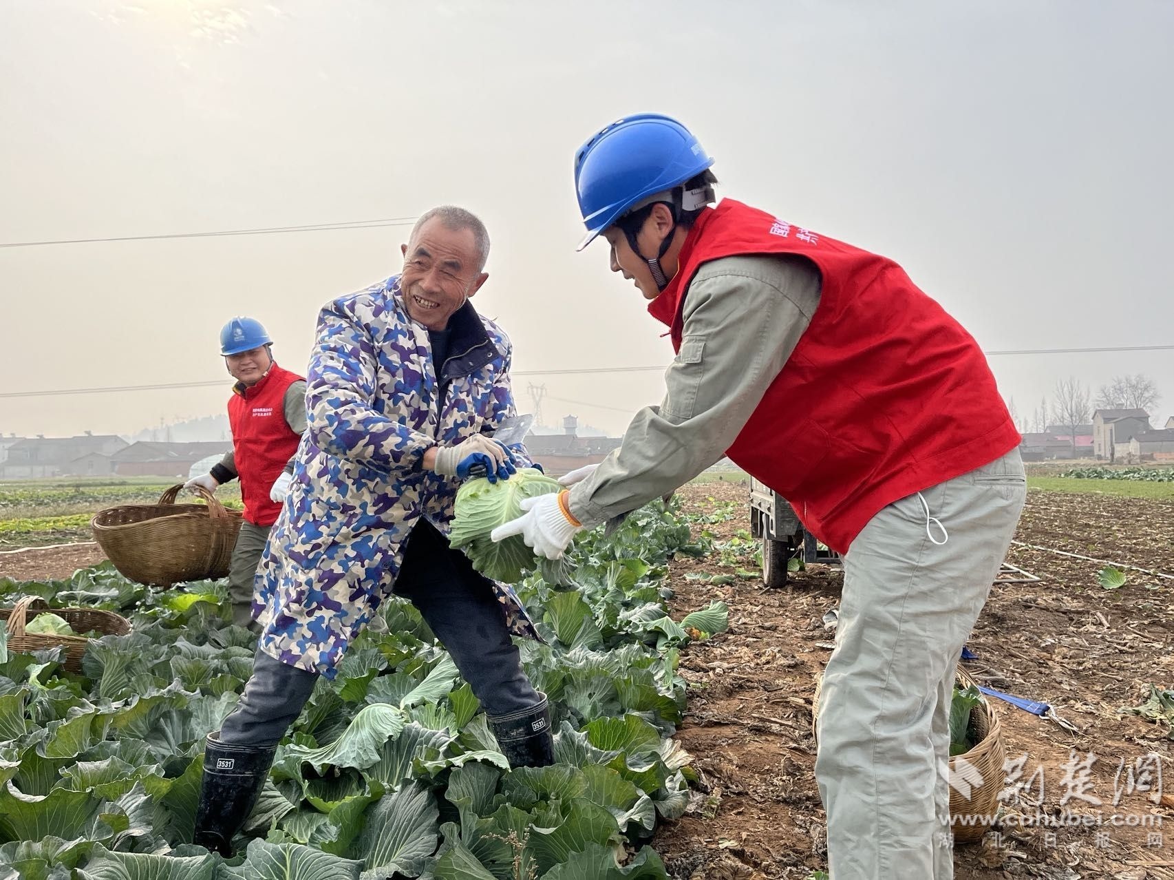 图片4：庙前供电所助力乡村振兴.jpg.jpg