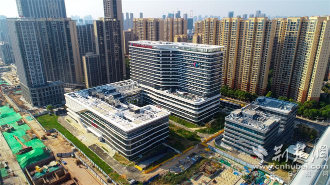 洪山院区全景（王峰 摄）.jpg.jpg