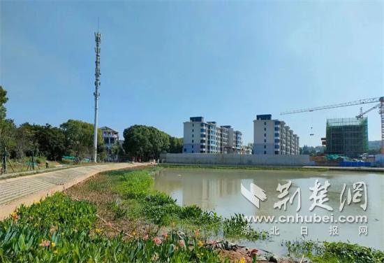 微信图片_20230128172624.jpg