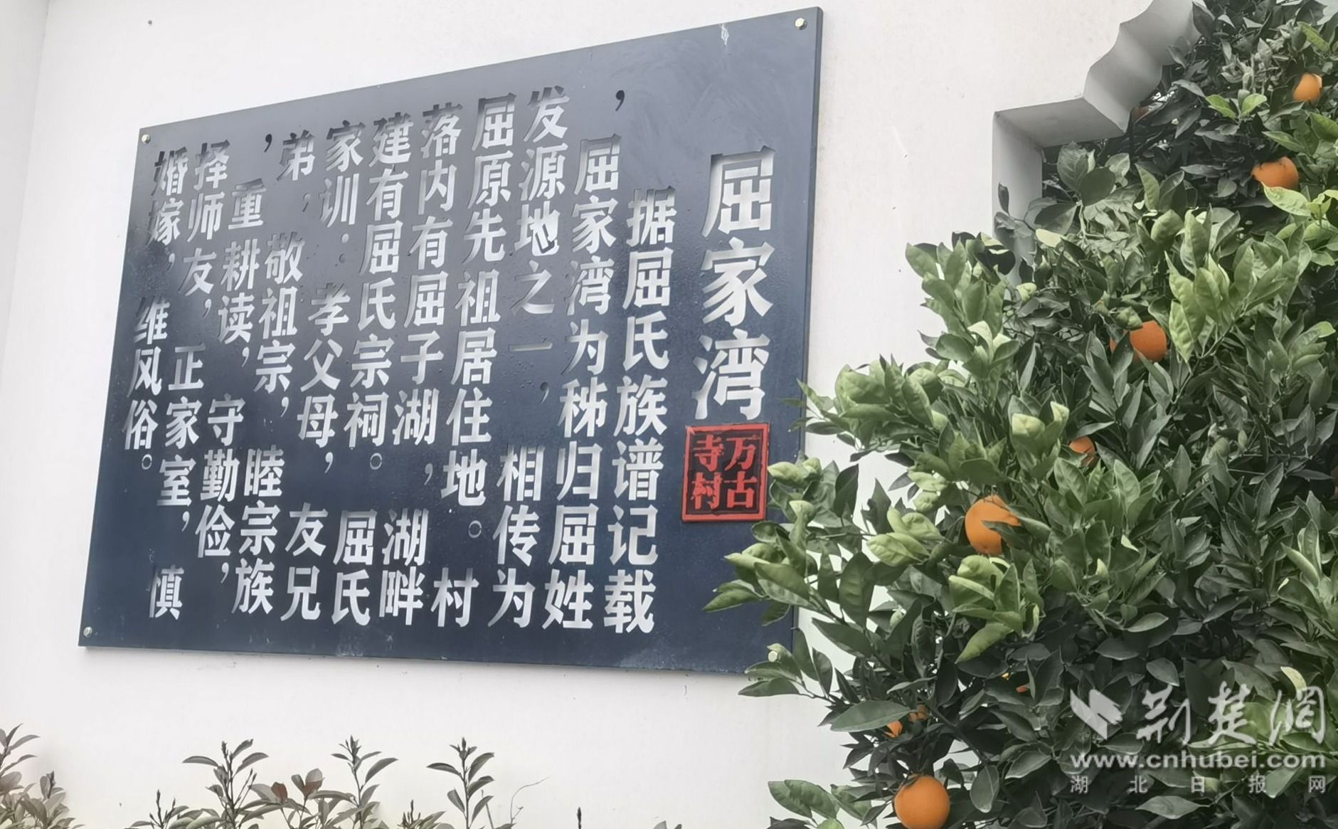QQ图片20230221195408.jpg.jpg