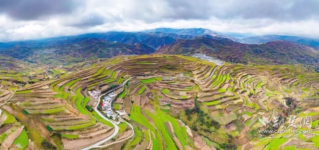劲牌公司药材种植基地.jpg