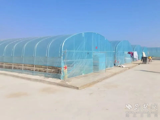 微信图片_20230312095455.jpg