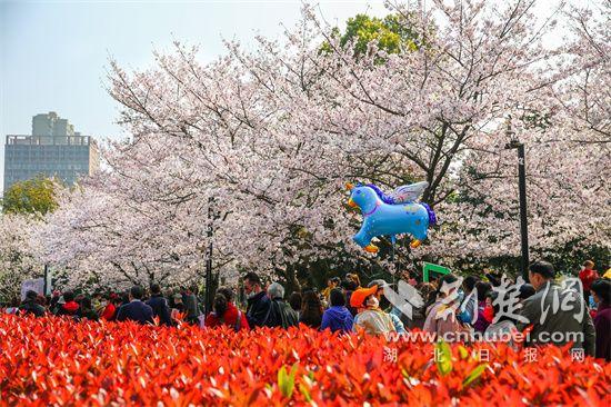 堤角公园花海人潮.jpg.jpg