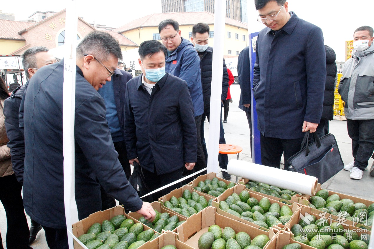 图片 2.png.png