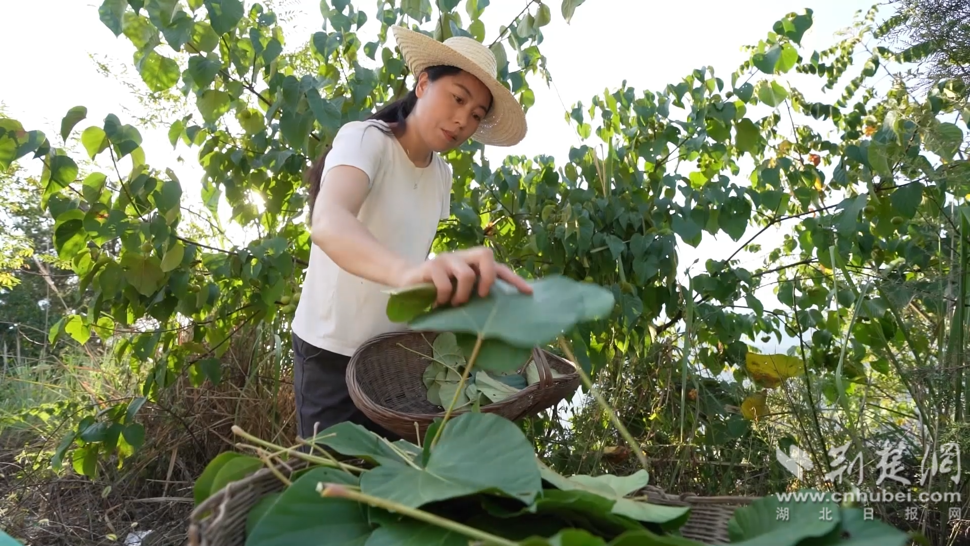 微信图片_20230420155717.png.png