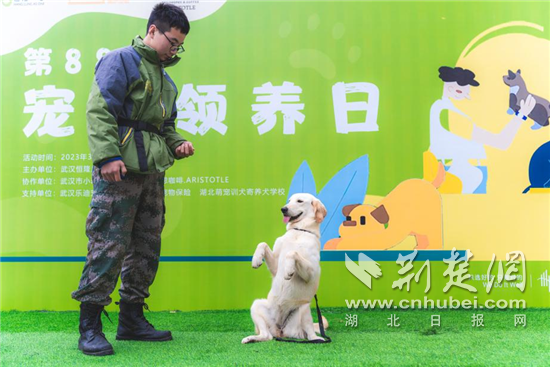 图片2.png.png