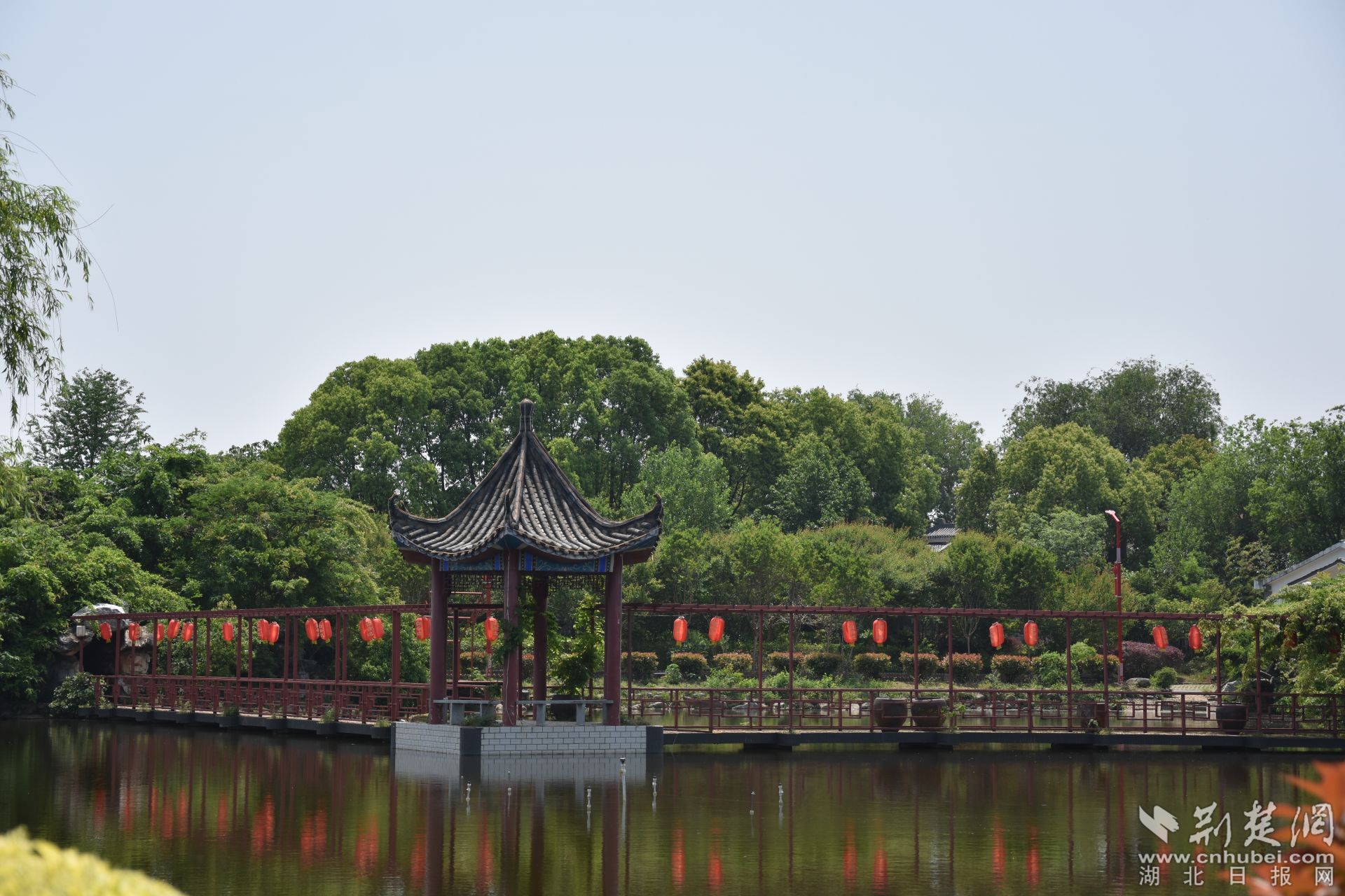 DSC_0859.JPG.JPG