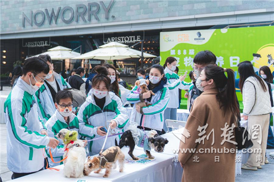 图片3.png.png