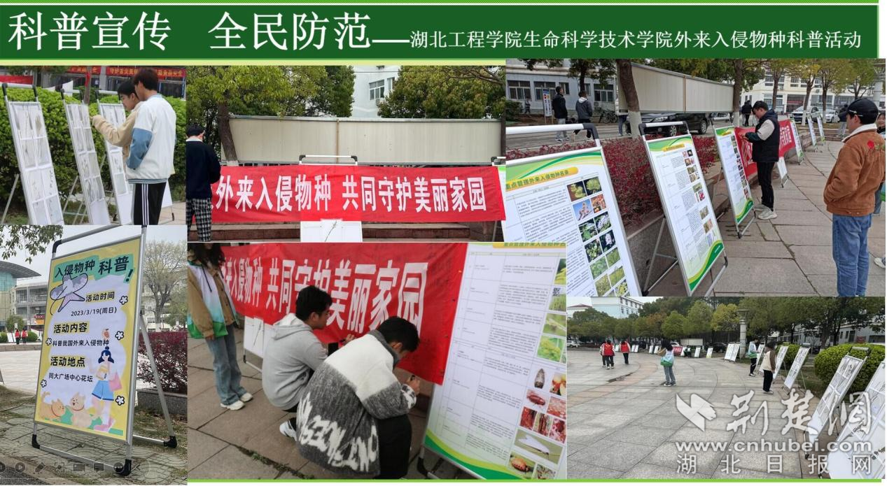 图片 7.png.png