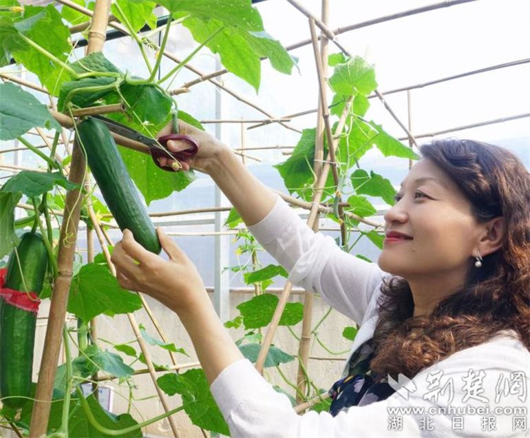 “江夏区同心教联体”成员参观学校劳动教育实践基地.jpg.jpg