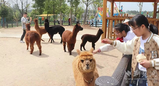 微信图片_20230504102512.jpg