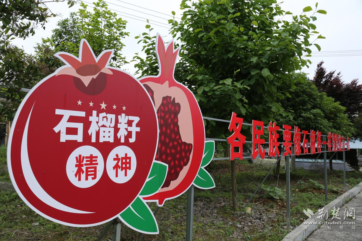 乐家坝主题公园.png.png