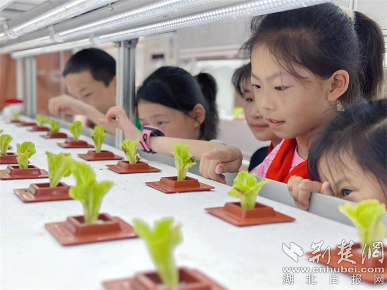 教学视导聚焦新课标 (1).jpg