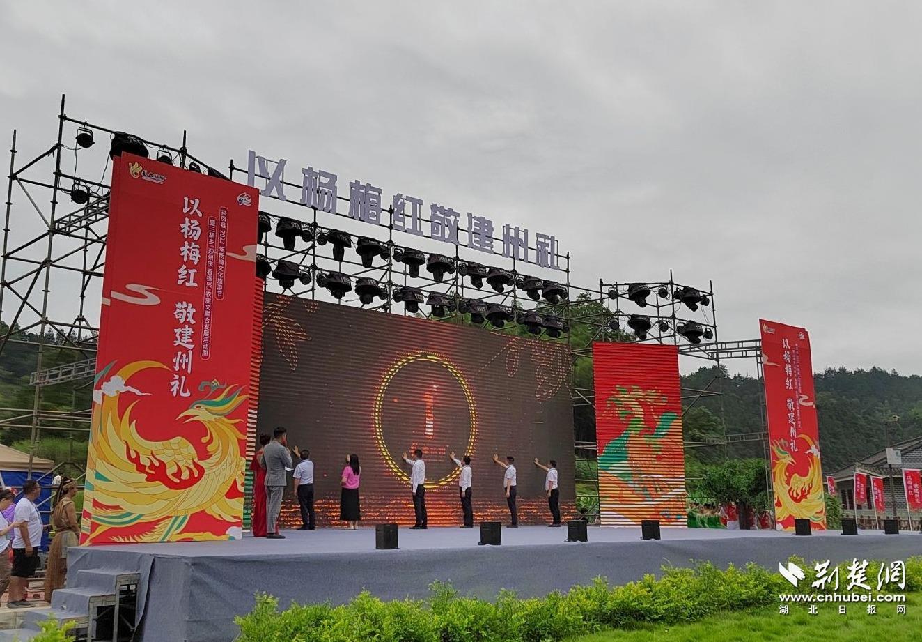 来凤 来凤“凤血杨梅”IP形象迎来“杨梅吐气”高光时刻
