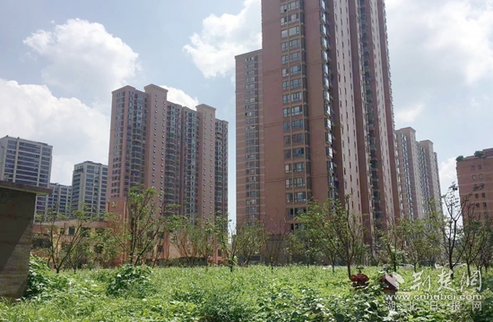 微信图片_20230626222235.jpg