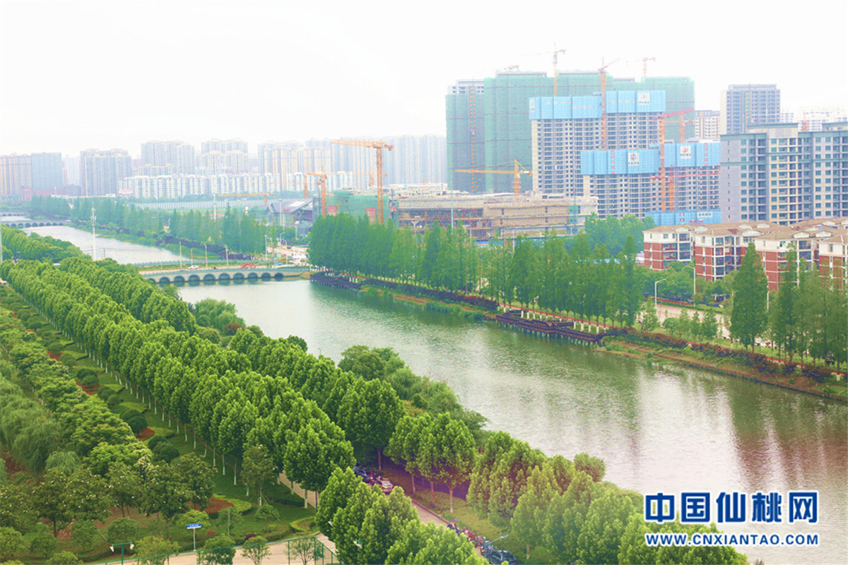 美丽仙桃 共同缔造