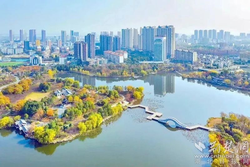 微信图片_20230602013547.jpg.jpg