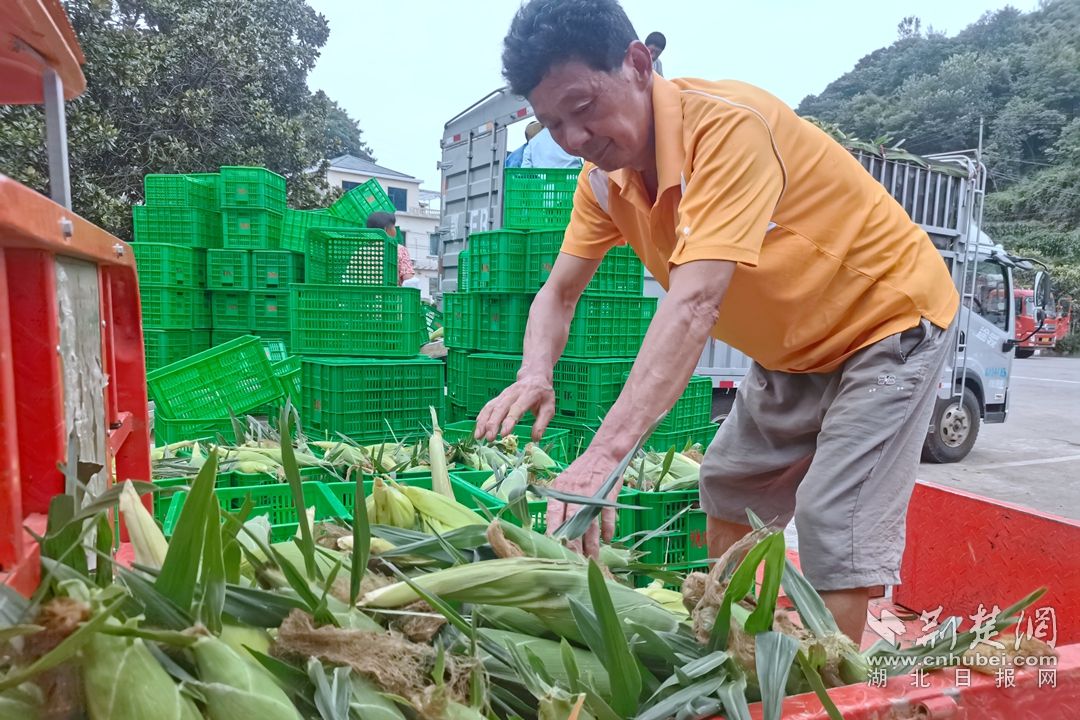 微信图片_20230721160218_副本.jpg.jpg