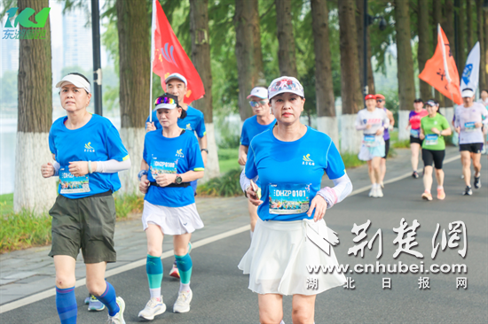 微信截图_20230808174432.png.png