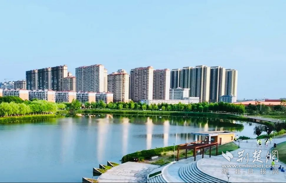 图片10.png.png