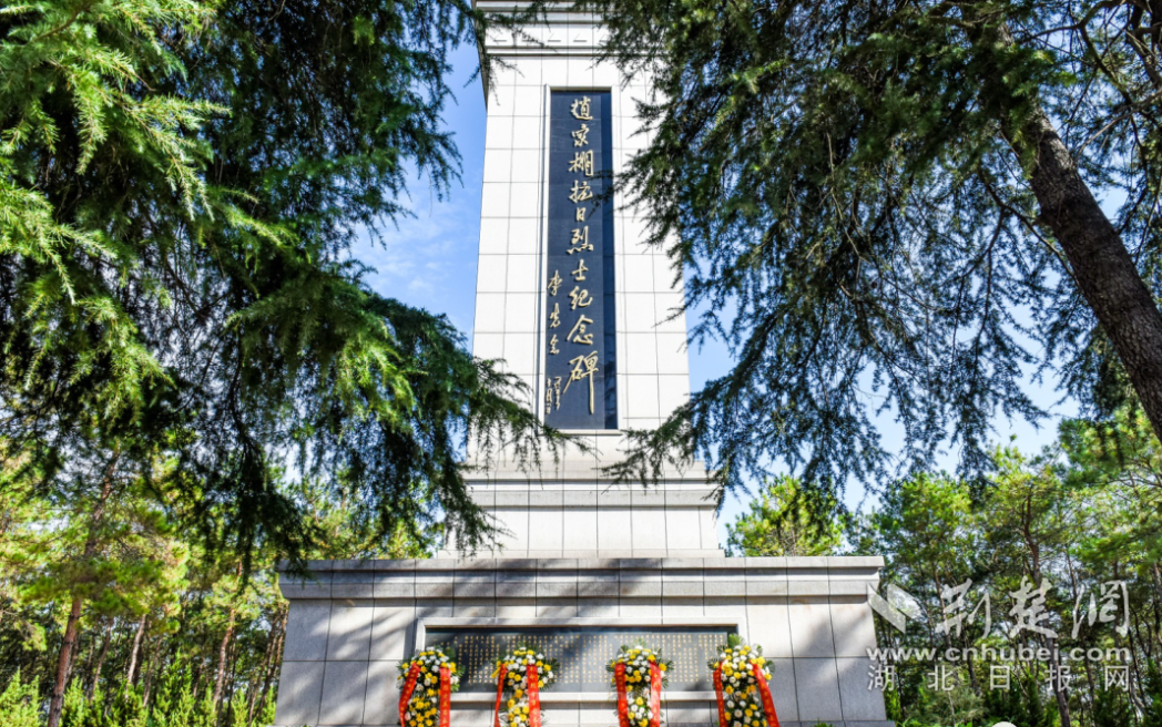 图片3.png.png