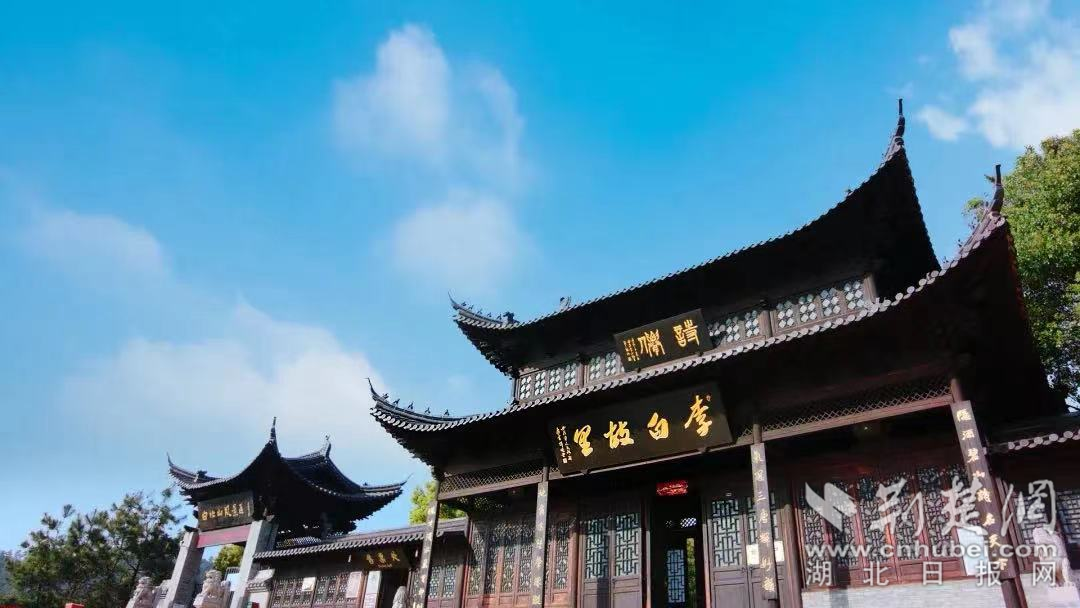图片11.png.png