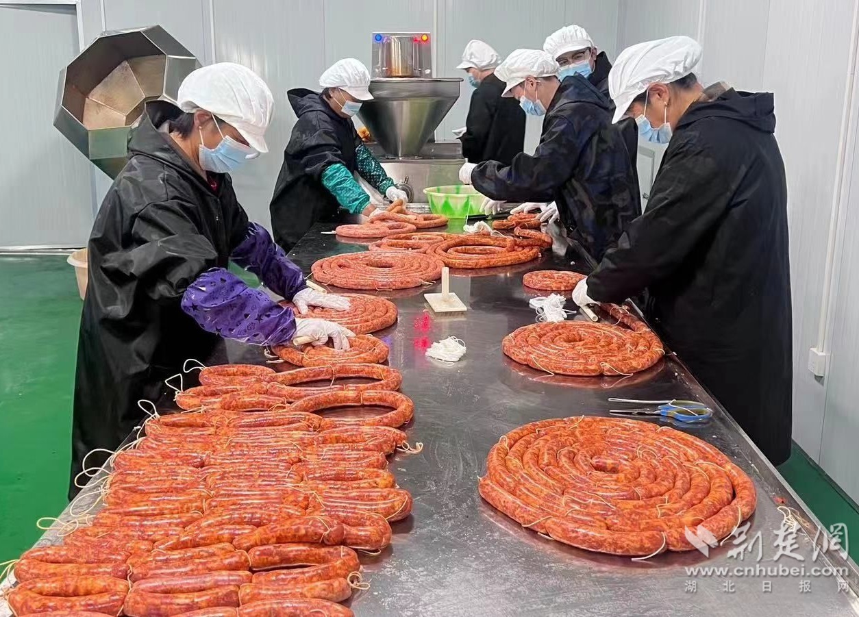 微信图片_20231127103603.jpg.jpg