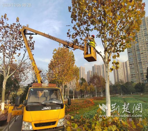 图片1.png.png