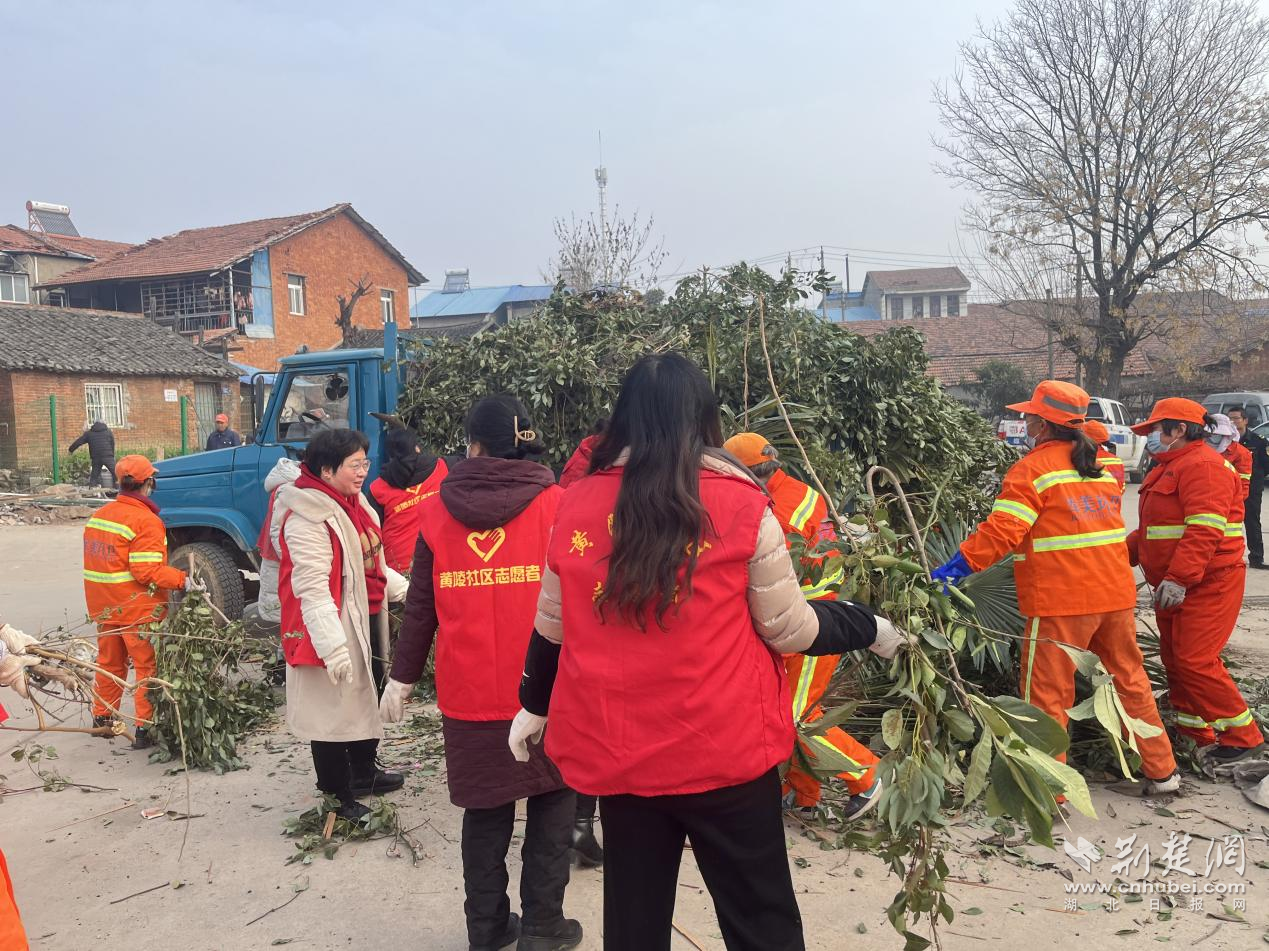 图片7 - 副本.png.png