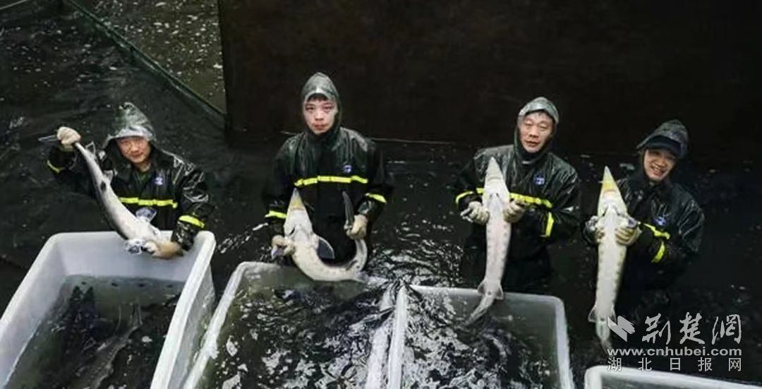 微信图片_20240317155645.jpg.jpg
